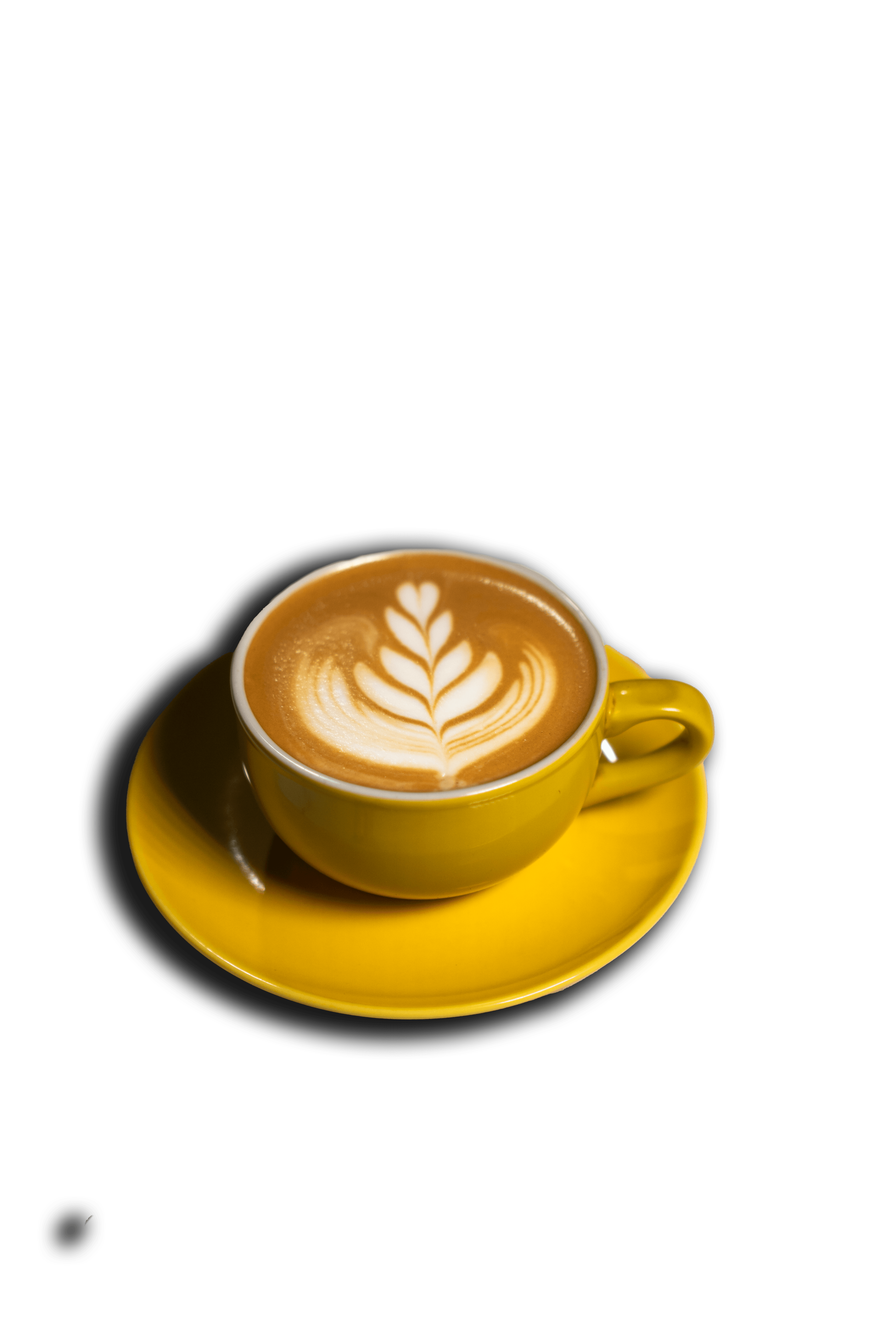 Caffe Latte